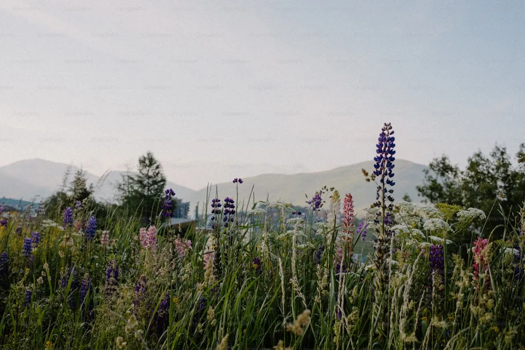 Sonnenhof Alpenblick Landhaus